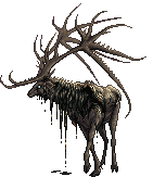 Caribou Mother