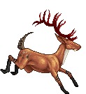 Elk