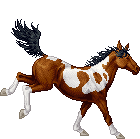 Chestnut - Short Black - Tobiano