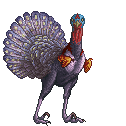 Grey Turkey Babe