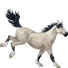 Stallion Of The Cimarron