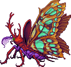 Red Purple Red Malachite Butterfly