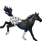 Apaloosa