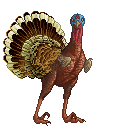 Turkey Jiggles Drose