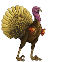 Gold Brown Gold Orange Turkey