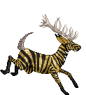 Gold Deer A. Krono