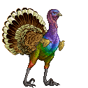 Turkey Pride II