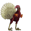 Chickurkey