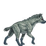 Greywolf