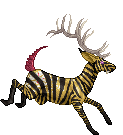 Gold Pink  Zebra Elk BM