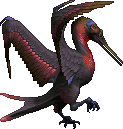 Red Throated Muskbirdo