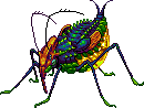 Chartreuse Scarab