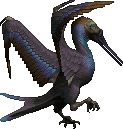 Blue Purple Throated Muskbirdo