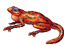 froggo