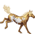 Golden Buckskin Overo CS