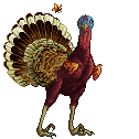 Red Dark Brown White Orange Blue Turkey