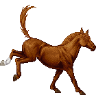 Epona