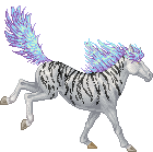 Magic Zebra