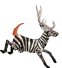 Perfect-Zebra-Deer F1