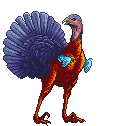 Turkey L Orange Dark Purple Blue Nubby