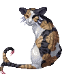 Starlingpelt