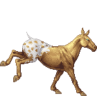 Golden Donkey 'ohw9u'