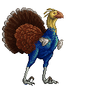 Gallopavo