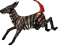 Okapi