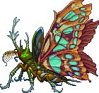 Malachite butterfly