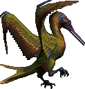 Gold Throated Muskbirdo