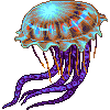 Mushroom Cap Jellyfish