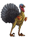 Jerry the turkey