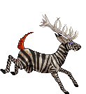 Zeeb