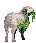 Just A Normal Sheep II