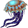 Blueberry jellyfish