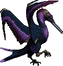 Purple Throated Muskbirdo